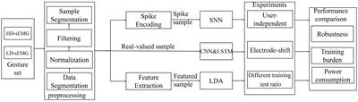 Feasibility study on the application of a spiking neural network in myoelectric control systems